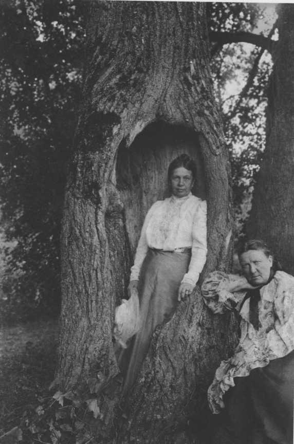 Софья Толстая Софья Толстая