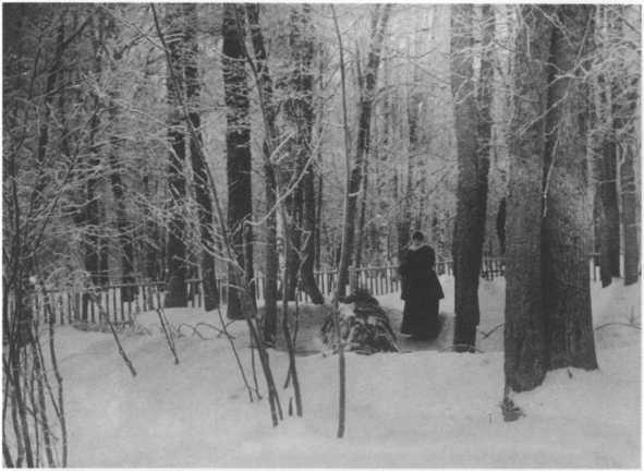 Софья Толстая Софья Толстая