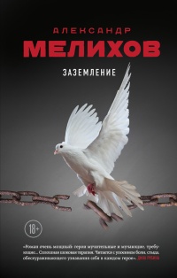 Заземление - Александр Мелихов - Читать книги онлайн | Слушать аудиокниги онлайн | Электронная библиотека books-lib.com