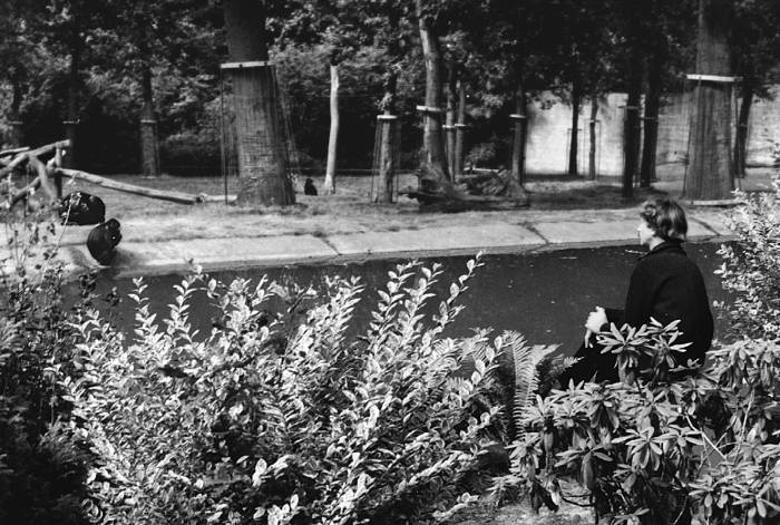 Парадокc власти. Как обретают и теряют влияние Парадокc власти. Как обретают и теряют влияние