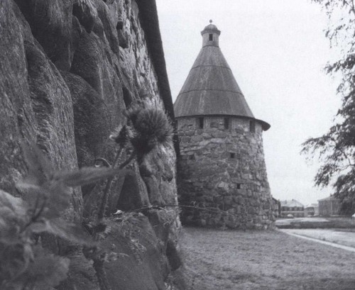 Дмитрий Лихачев Дмитрий Лихачев