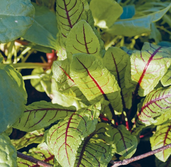 Лагом. Шведские секреты счастливой жизни Лагом. Шведские секреты счастливой жизни