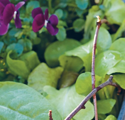 Лагом. Шведские секреты счастливой жизни Лагом. Шведские секреты счастливой жизни