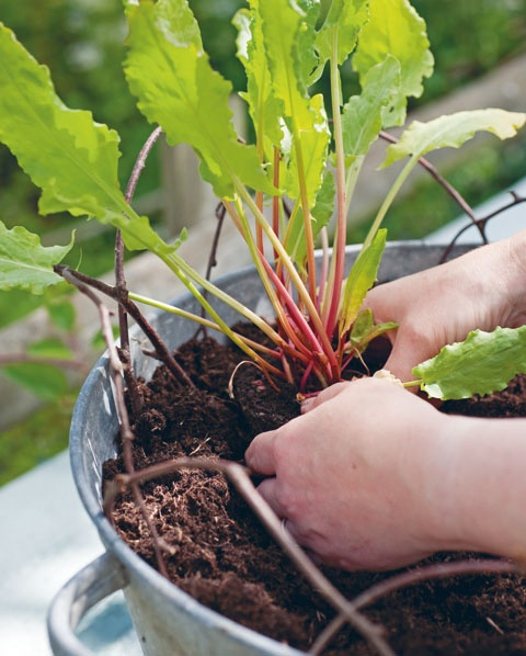 Лагом. Шведские секреты счастливой жизни Лагом. Шведские секреты счастливой жизни