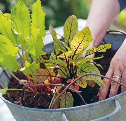 Лагом. Шведские секреты счастливой жизни Лагом. Шведские секреты счастливой жизни