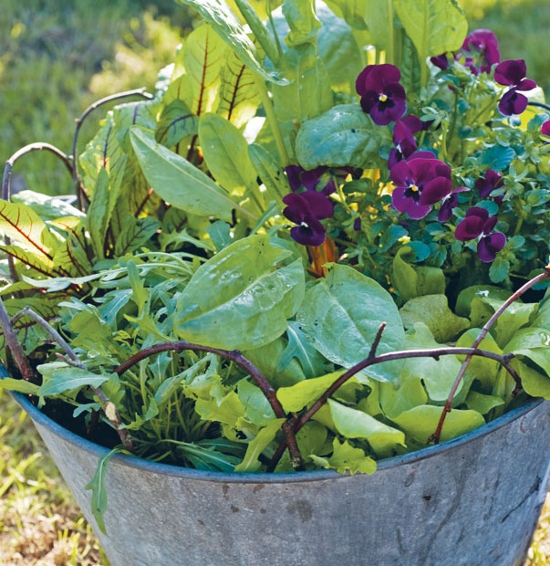Лагом. Шведские секреты счастливой жизни Лагом. Шведские секреты счастливой жизни