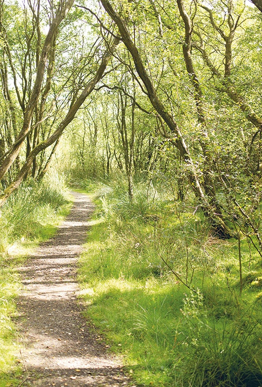 Лагом. Шведские секреты счастливой жизни Лагом. Шведские секреты счастливой жизни