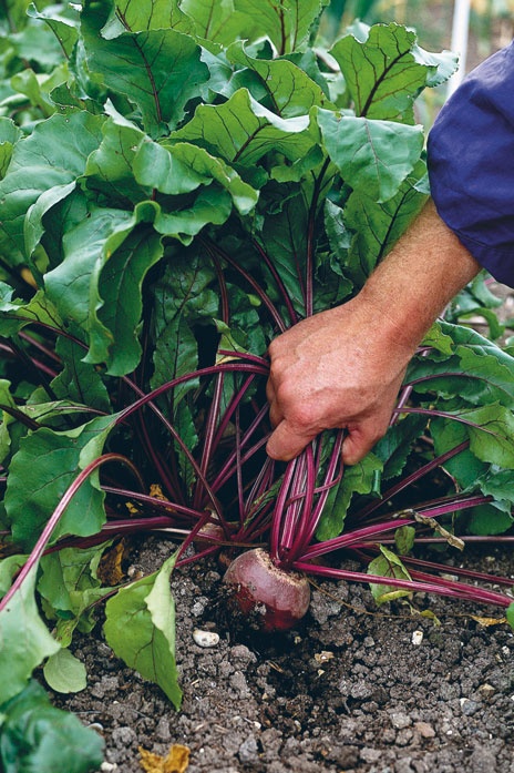 Лагом. Шведские секреты счастливой жизни Лагом. Шведские секреты счастливой жизни