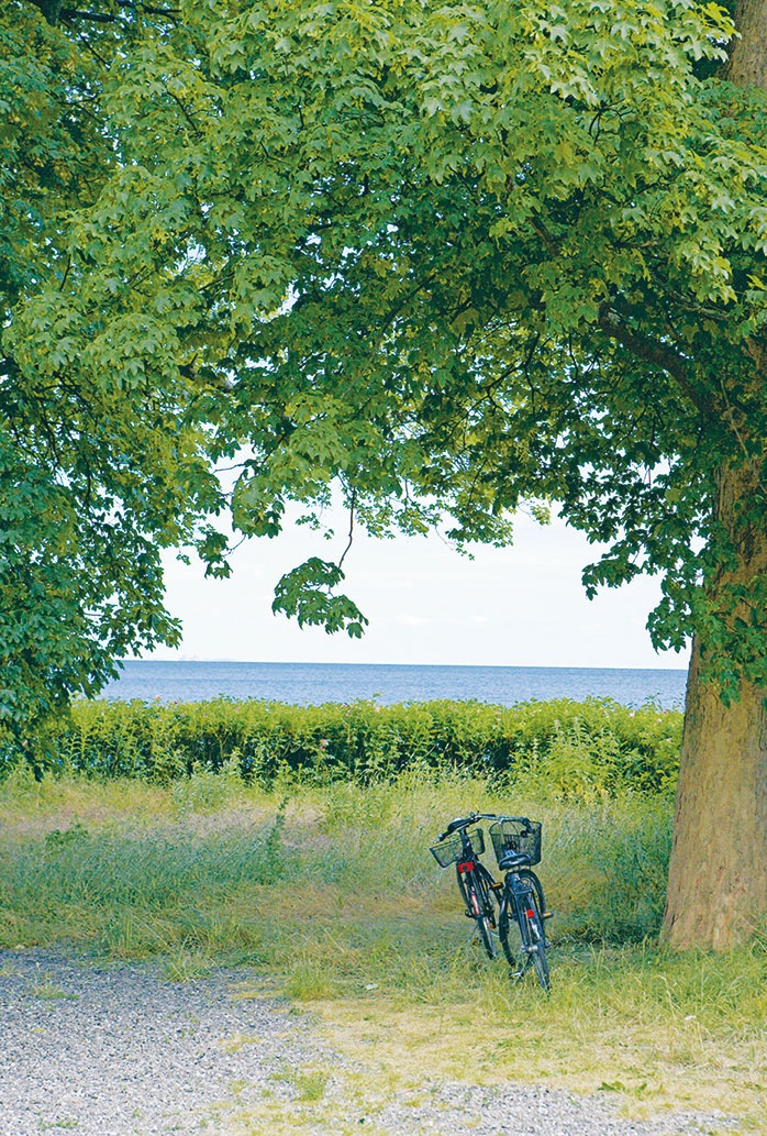 Лагом. Шведские секреты счастливой жизни Лагом. Шведские секреты счастливой жизни