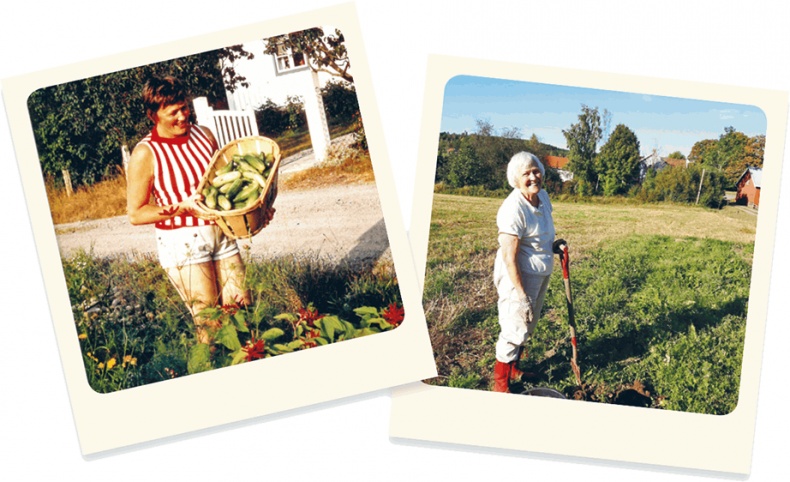 Лагом. Шведские секреты счастливой жизни Лагом. Шведские секреты счастливой жизни