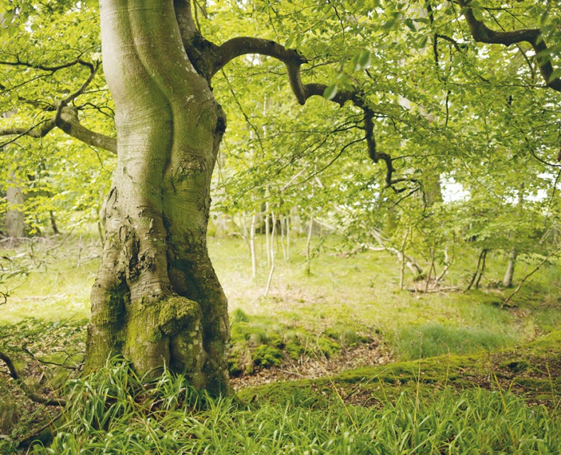 Лагом. Шведские секреты счастливой жизни Лагом. Шведские секреты счастливой жизни