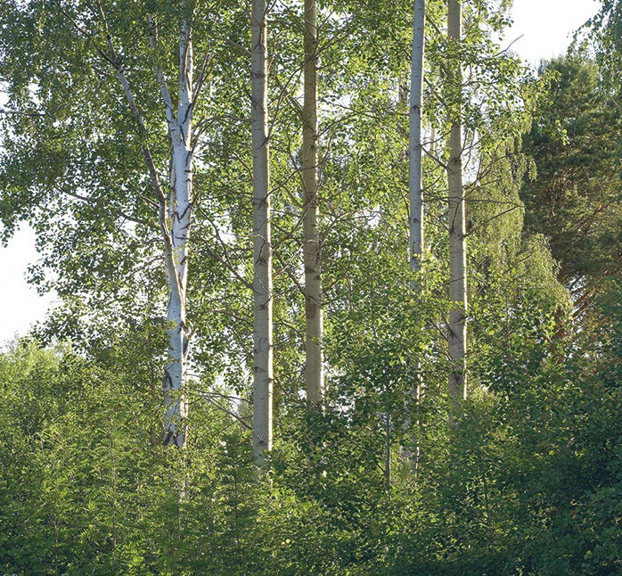 Лагом. Шведские секреты счастливой жизни Лагом. Шведские секреты счастливой жизни