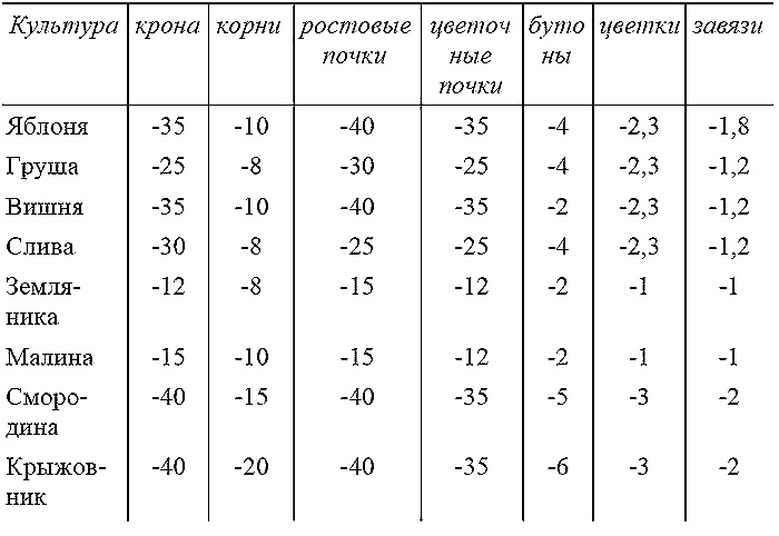 Как посадишь, так и поешь. Агротехника на шести сотках Как посадишь, так и поешь. Агротехника на шести сотках