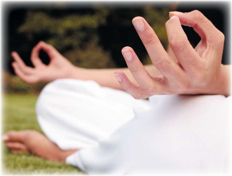 Йога-анатомия. Как работают асаны для здоровья и стройности тела Йога-анатомия. Как работают асаны для здоровья и стройности тела