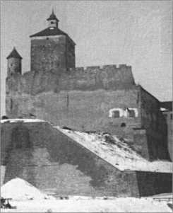 "Тигры" в снегу. Мемуары танкового аса "Тигры" в снегу. Мемуары танкового аса