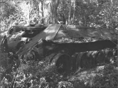 "Тигры" в снегу. Мемуары танкового аса "Тигры" в снегу. Мемуары танкового аса