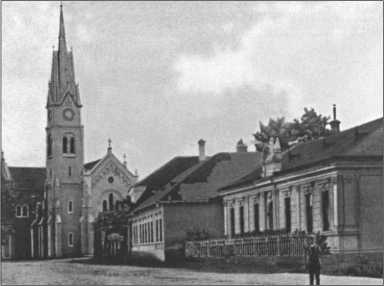 "Тигры" в снегу. Мемуары танкового аса "Тигры" в снегу. Мемуары танкового аса