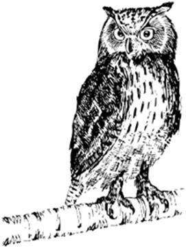 Волшебный поезд Джоан Роулинг Волшебный поезд Джоан Роулинг