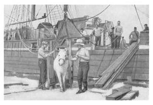 Экспедиция к Южному полюсу Экспедиция к Южному полюсу