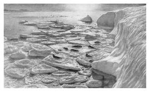 Экспедиция к Южному полюсу Экспедиция к Южному полюсу