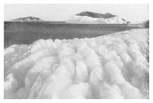 Экспедиция к Южному полюсу Экспедиция к Южному полюсу