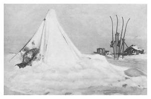 Экспедиция к Южному полюсу Экспедиция к Южному полюсу