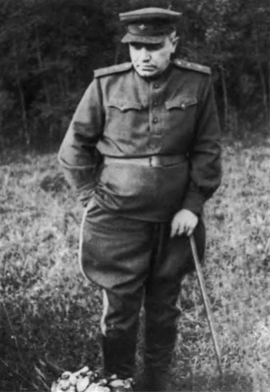 Берзарин Берзарин