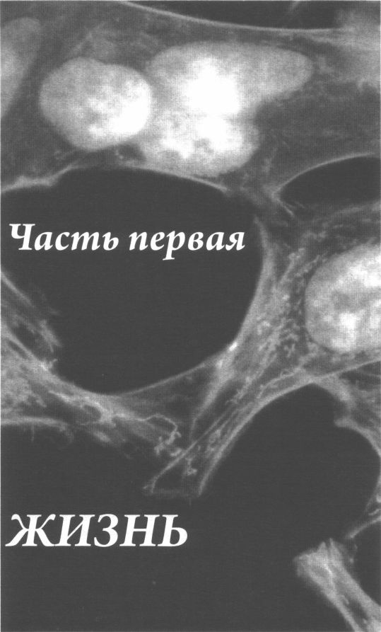 Бессмертная жизнь Генриетты Лакс Бессмертная жизнь Генриетты Лакс