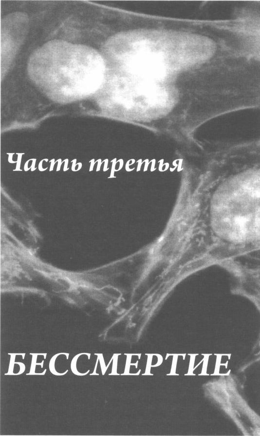 Бессмертная жизнь Генриетты Лакс Бессмертная жизнь Генриетты Лакс
