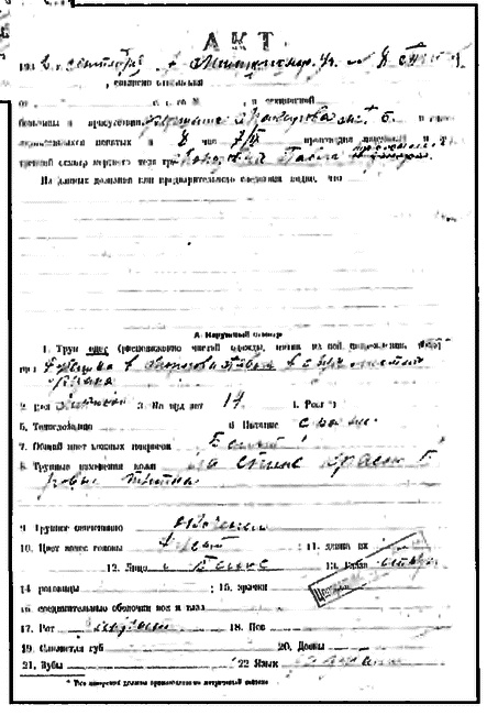Товарищ Павлик. Взлет и падение советского мальчика-героя Товарищ Павлик. Взлет и падение советского мальчика-героя