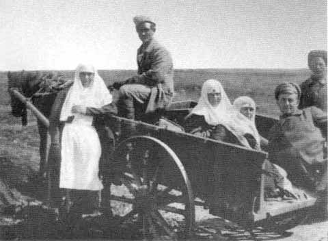 Врангель Врангель