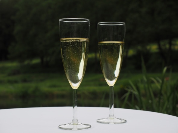 Алкогольные напитки и культура пития. Систематическая энциклопедия от Алкофана Алкогольные напитки и культура пития. Систематическая энциклопедия от Алкофана