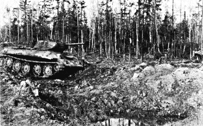 Трагедия на Неве. Шокирующая правда о блокаде Ленинграда. 1941-1944 Трагедия на Неве. Шокирующая правда о блокаде Ленинграда. 1941-1944