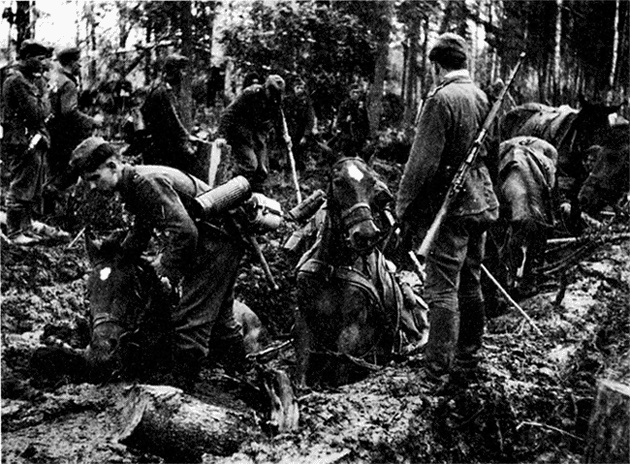 Трагедия на Неве. Шокирующая правда о блокаде Ленинграда. 1941-1944 Трагедия на Неве. Шокирующая правда о блокаде Ленинграда. 1941-1944