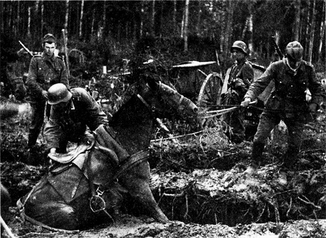 Трагедия на Неве. Шокирующая правда о блокаде Ленинграда. 1941-1944 Трагедия на Неве. Шокирующая правда о блокаде Ленинграда. 1941-1944