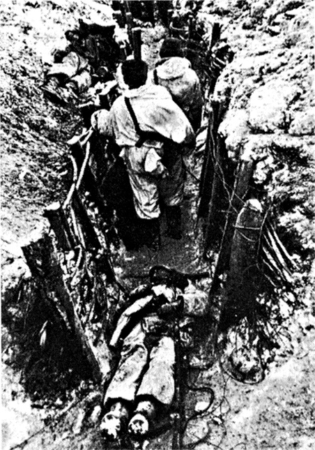 Трагедия на Неве. Шокирующая правда о блокаде Ленинграда. 1941-1944 Трагедия на Неве. Шокирующая правда о блокаде Ленинграда. 1941-1944