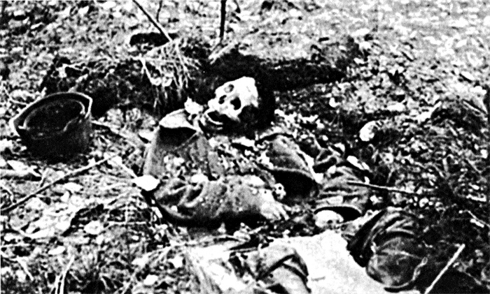 Трагедия на Неве. Шокирующая правда о блокаде Ленинграда. 1941-1944 Трагедия на Неве. Шокирующая правда о блокаде Ленинграда. 1941-1944
