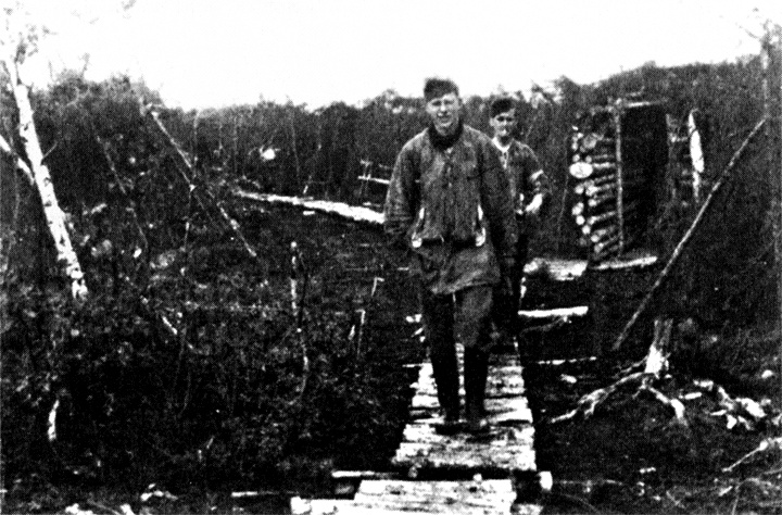 Трагедия на Неве. Шокирующая правда о блокаде Ленинграда. 1941-1944 Трагедия на Неве. Шокирующая правда о блокаде Ленинграда. 1941-1944