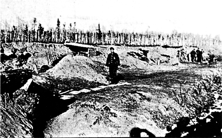 Трагедия на Неве. Шокирующая правда о блокаде Ленинграда. 1941-1944 Трагедия на Неве. Шокирующая правда о блокаде Ленинграда. 1941-1944