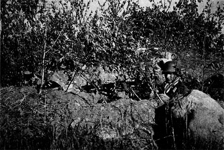 Трагедия на Неве. Шокирующая правда о блокаде Ленинграда. 1941-1944 Трагедия на Неве. Шокирующая правда о блокаде Ленинграда. 1941-1944