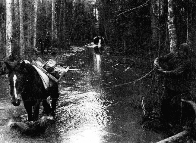 Трагедия на Неве. Шокирующая правда о блокаде Ленинграда. 1941-1944 Трагедия на Неве. Шокирующая правда о блокаде Ленинграда. 1941-1944
