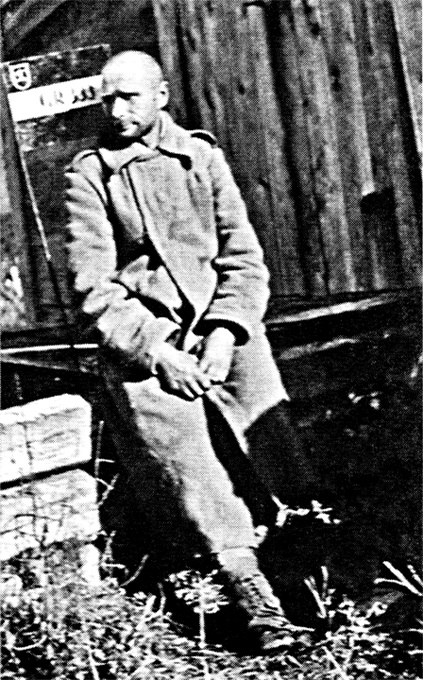 Трагедия на Неве. Шокирующая правда о блокаде Ленинграда. 1941-1944 Трагедия на Неве. Шокирующая правда о блокаде Ленинграда. 1941-1944