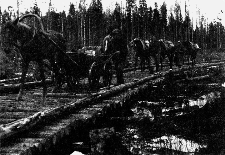 Трагедия на Неве. Шокирующая правда о блокаде Ленинграда. 1941-1944 Трагедия на Неве. Шокирующая правда о блокаде Ленинграда. 1941-1944