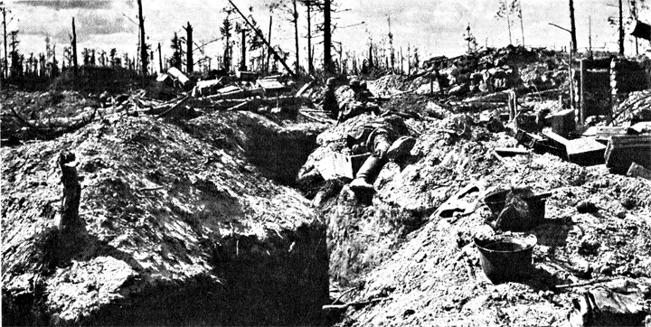 Трагедия на Неве. Шокирующая правда о блокаде Ленинграда. 1941-1944 Трагедия на Неве. Шокирующая правда о блокаде Ленинграда. 1941-1944