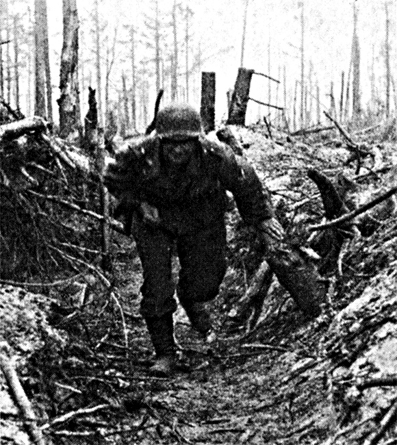 Трагедия на Неве. Шокирующая правда о блокаде Ленинграда. 1941-1944 Трагедия на Неве. Шокирующая правда о блокаде Ленинграда. 1941-1944