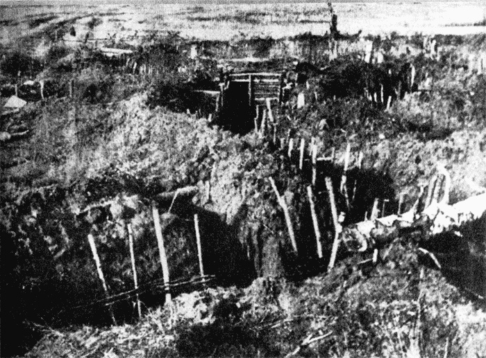 Трагедия на Неве. Шокирующая правда о блокаде Ленинграда. 1941-1944 Трагедия на Неве. Шокирующая правда о блокаде Ленинграда. 1941-1944
