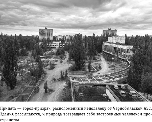 Цивилизация с нуля. Что нужно знать и уметь, чтобы выжить после всемирной катастрофы Цивилизация с нуля. Что нужно знать и уметь, чтобы выжить после всемирной катастрофы
