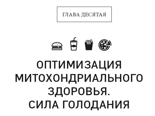 Клетка "на диете". Научное открытие о влиянии жиров на мышление, физическую активность и обмен веществ Клетка "на диете". Научное открытие о влиянии жиров на мышление, физическую активность и обмен веществ