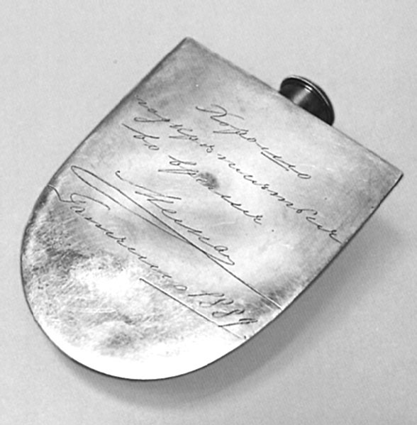 Врачи двора его Императорского величества, или Как лечили царскую семью Врачи двора его Императорского величества, или Как лечили царскую семью