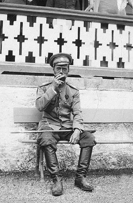 Врачи двора его Императорского величества, или Как лечили царскую семью Врачи двора его Императорского величества, или Как лечили царскую семью